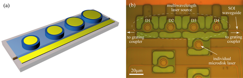 Schematic and fabricated structure of the MWLs.