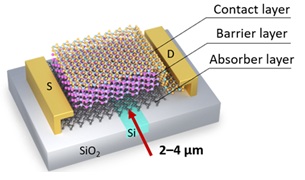 Van der Waals heteterostructure photodetector on a photonic integrated circuit